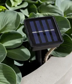 Dehner Solar-Lichterkette Manaus