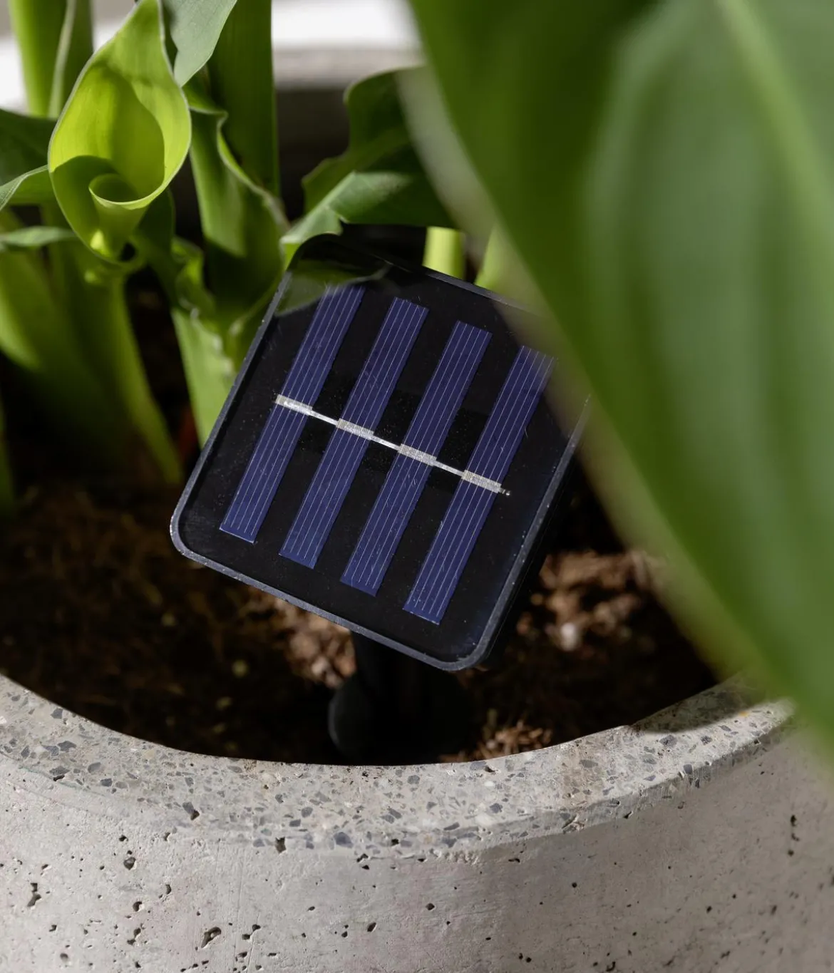 Dehner Solar-Lichterkette Ronda