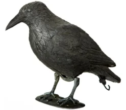 Dehner Taubenschreck Rabe