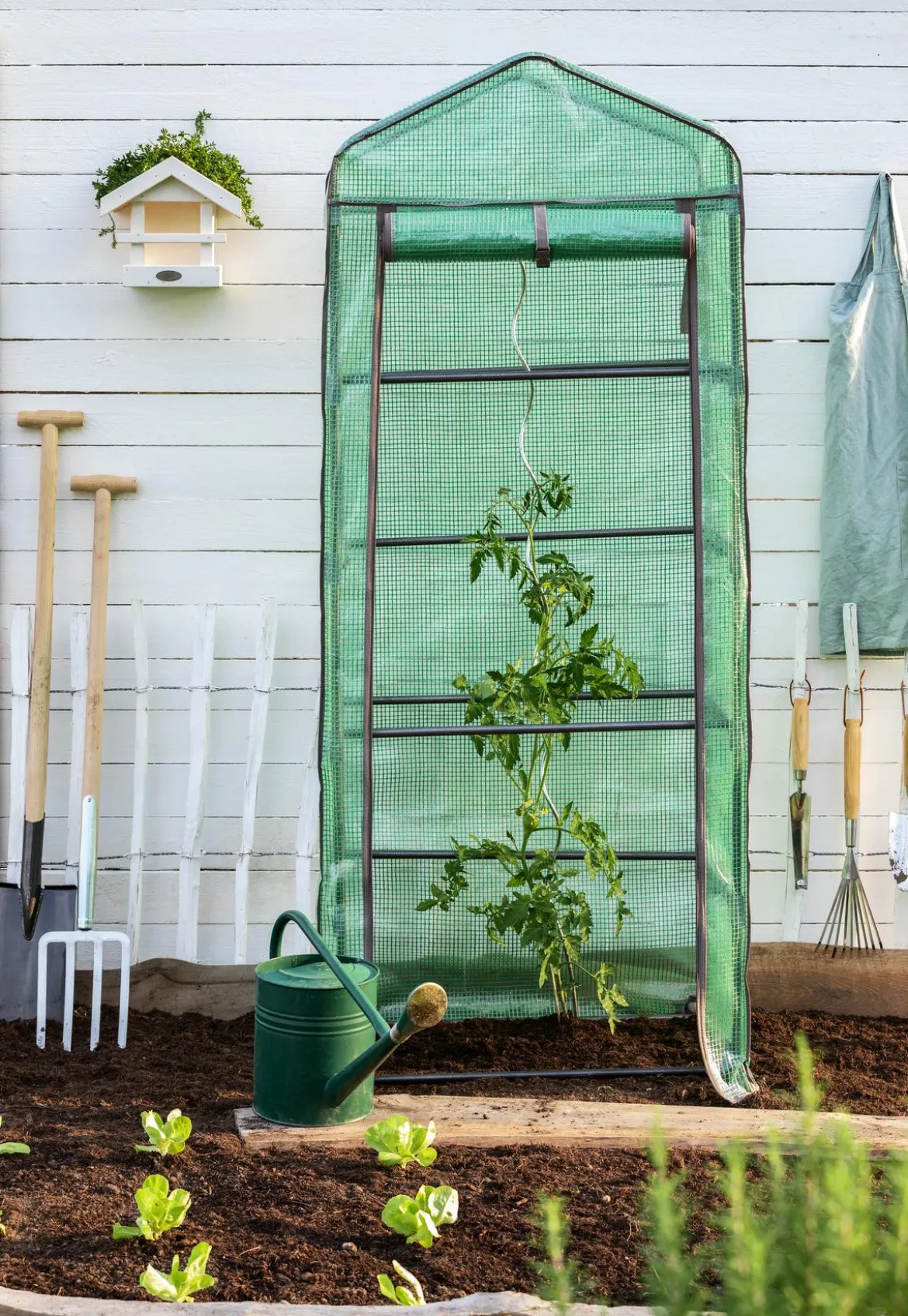 Dehner Tomaten-Spiralstab, verzinkt, ca. H170 cm