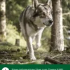 Dehner Wild Nature BARF-Ergänzungsfutter für Hunde Flocken-Mix Früchte