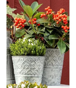 Dehner Zinktopf Ornamente