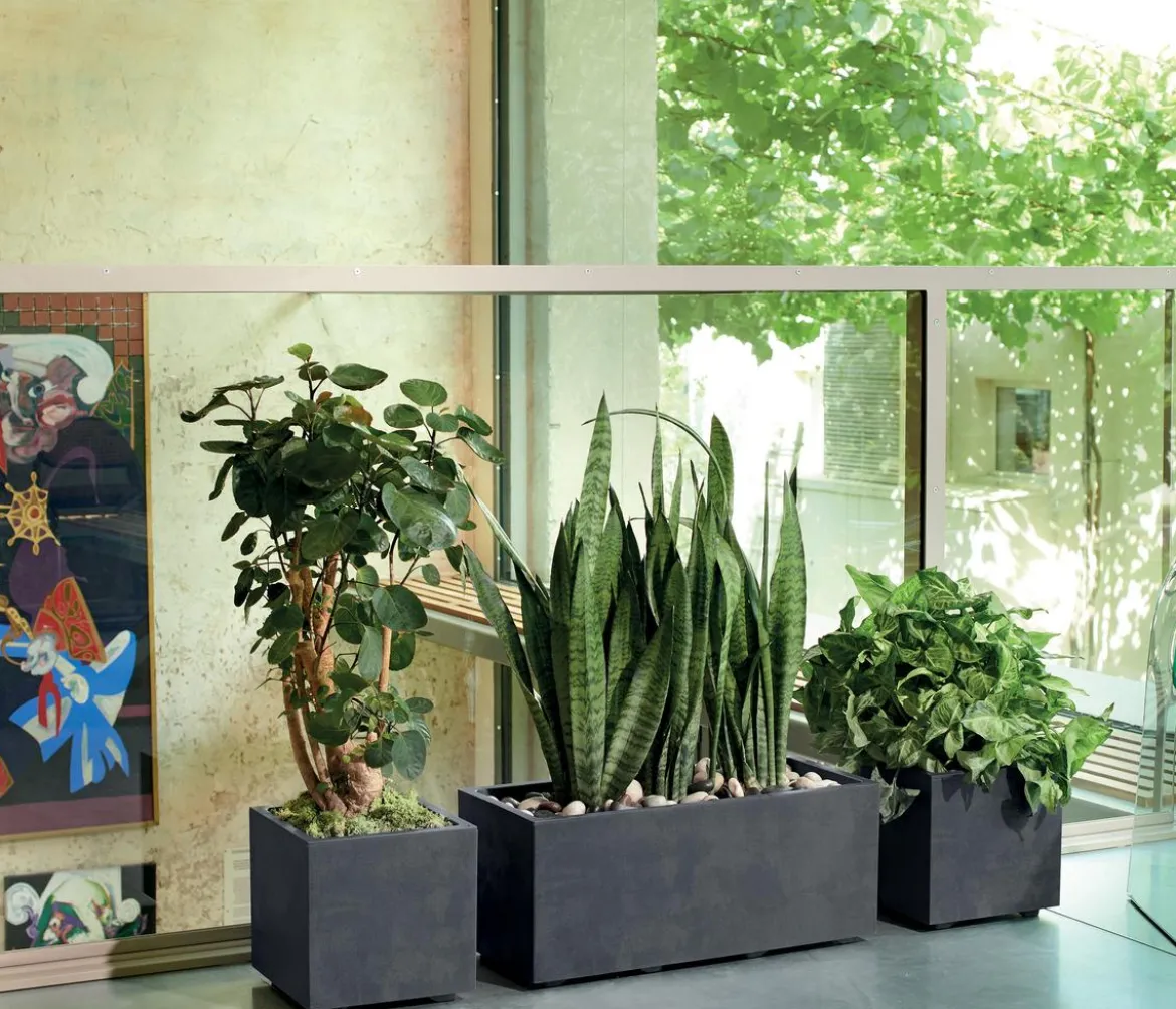 Deroma Kunststoff-Topf Millenium, quadratisch