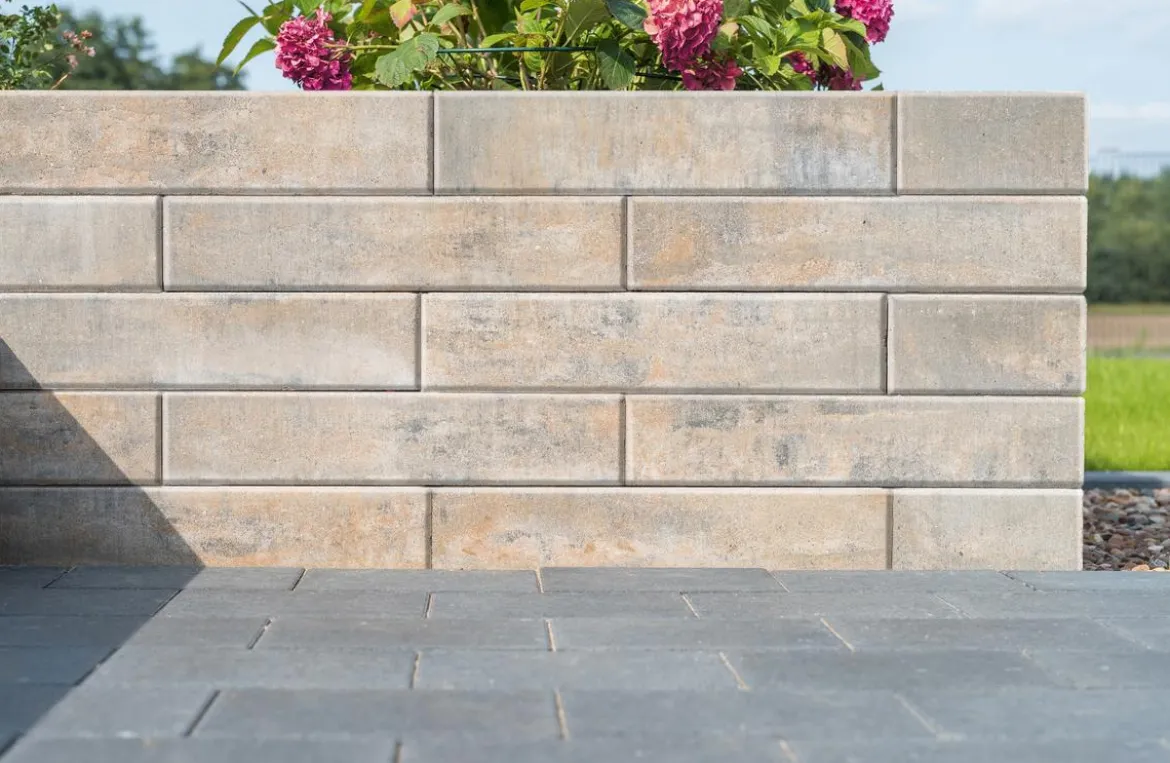 Diephaus Mauerstein LISCO MEDIO