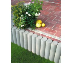 Diephaus Mini-Palisade