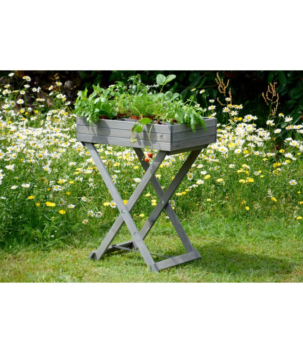 dobar Holz-Kräutertisch klappbar, ca. B58/H75/T38 cm