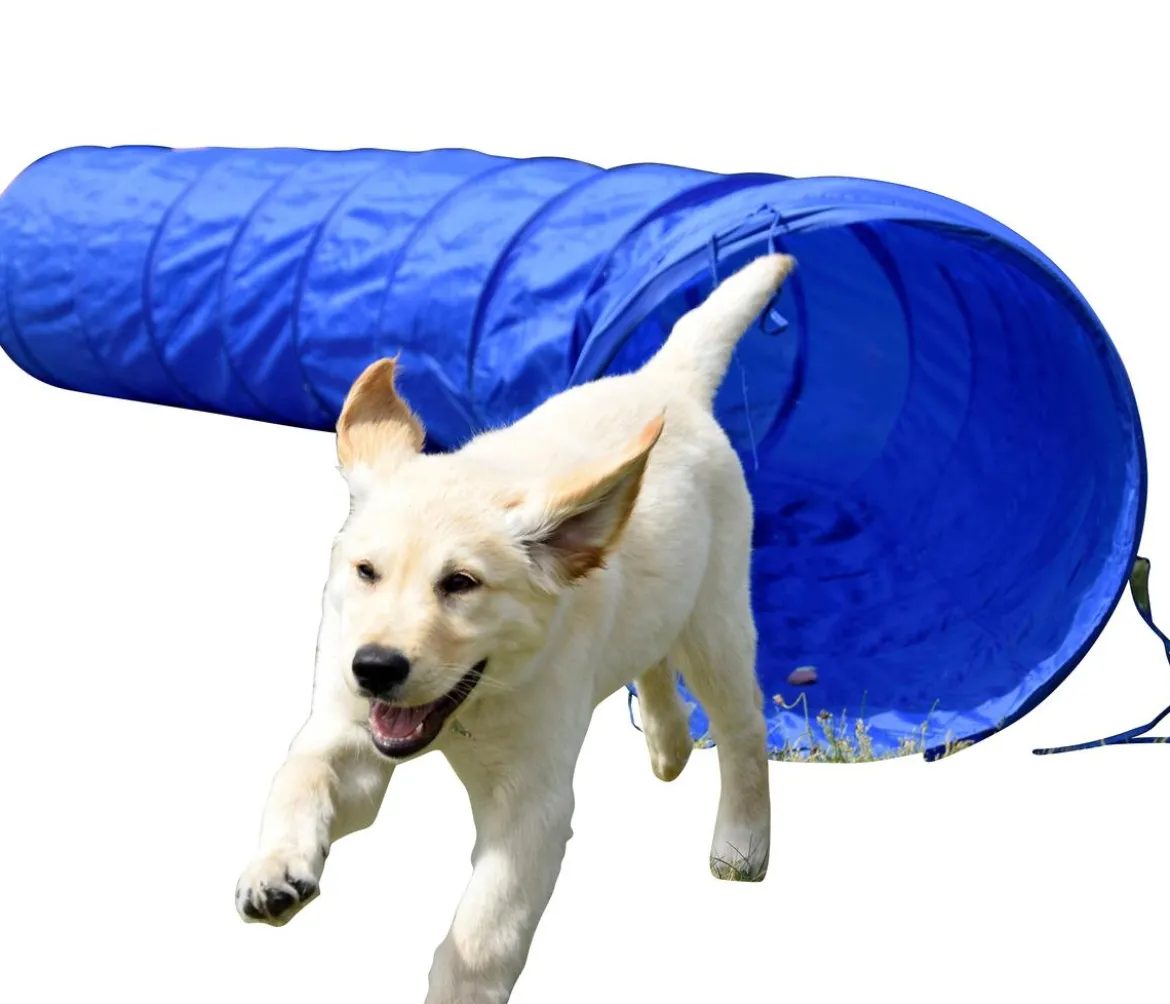 dobar® petlife Agility Tunnel, ca. Ø50/L300 cm