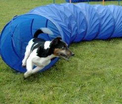 dobar® petlife Agility Tunnel, ca. Ø50/L300 cm