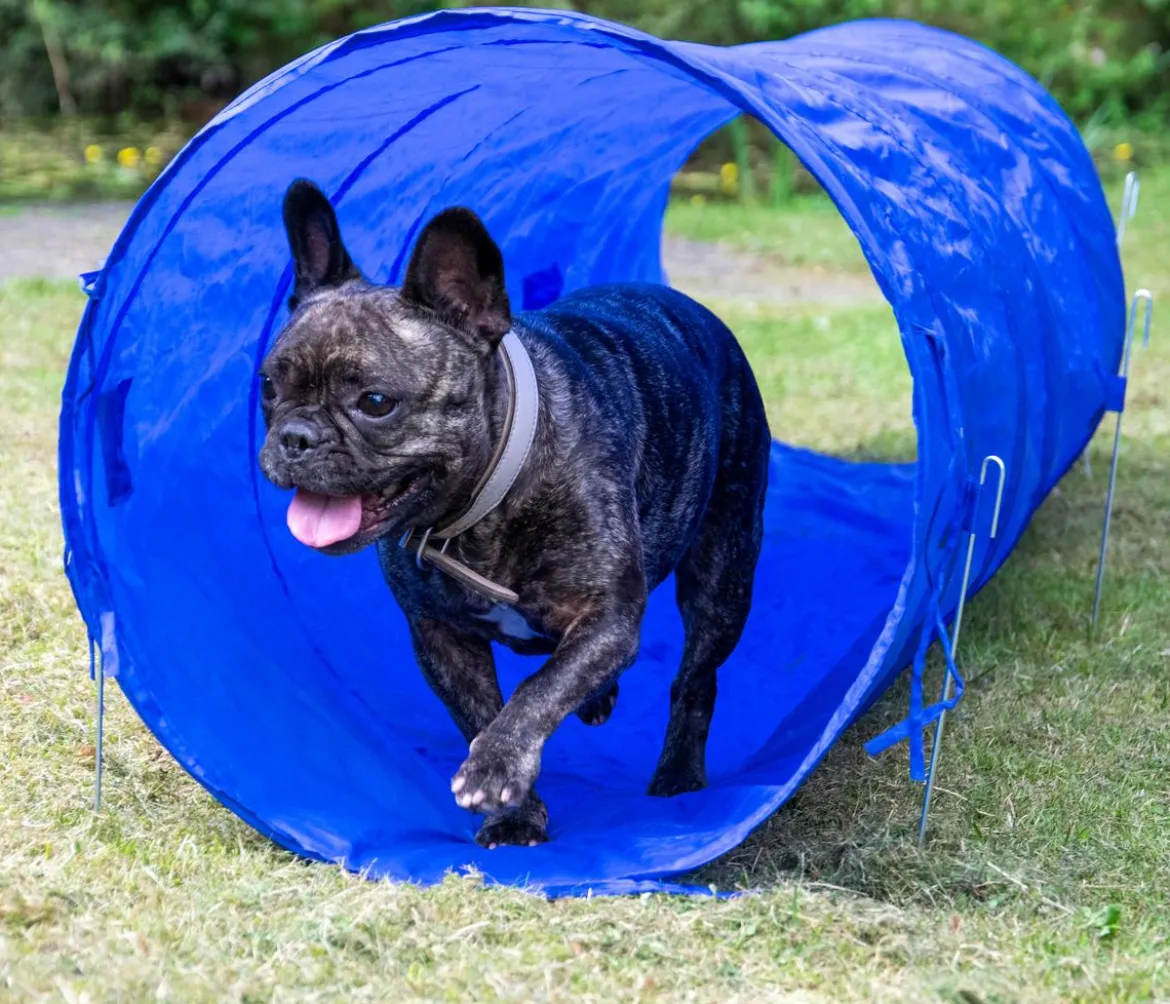 dobar® petlife Agility Tunnel, ca. Ø50/L300 cm