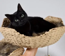 dobar® petlife Design-Katzenmöbel Tony, ca. B60/H111/T45 cm