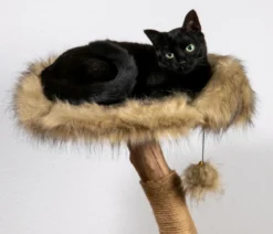 dobar® petlife Design-Katzenmöbel Ruby, ca. B45/H88/T45 cm
