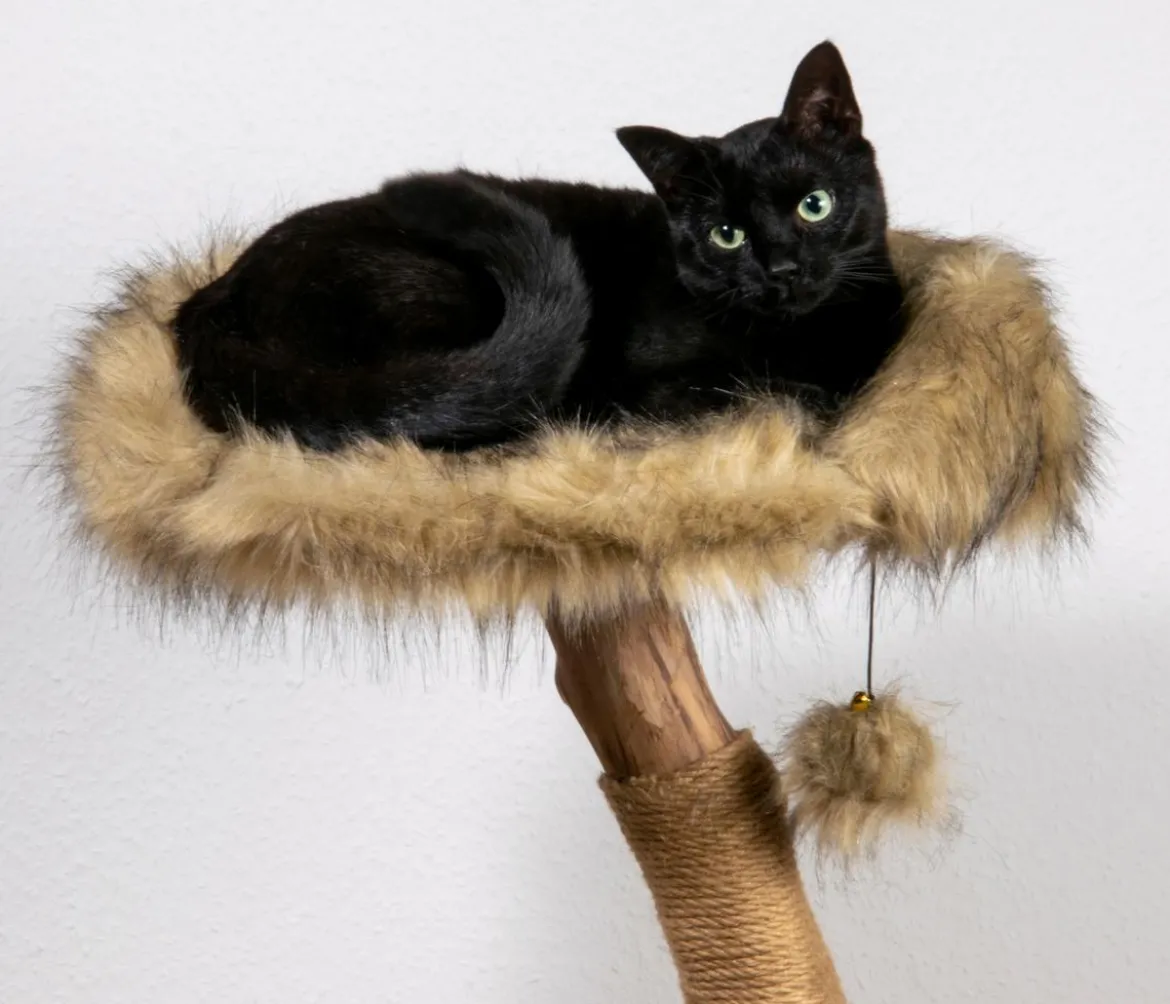dobar® petlife Design-Katzenmöbel Ruby, ca. B45/H88/T45 cm