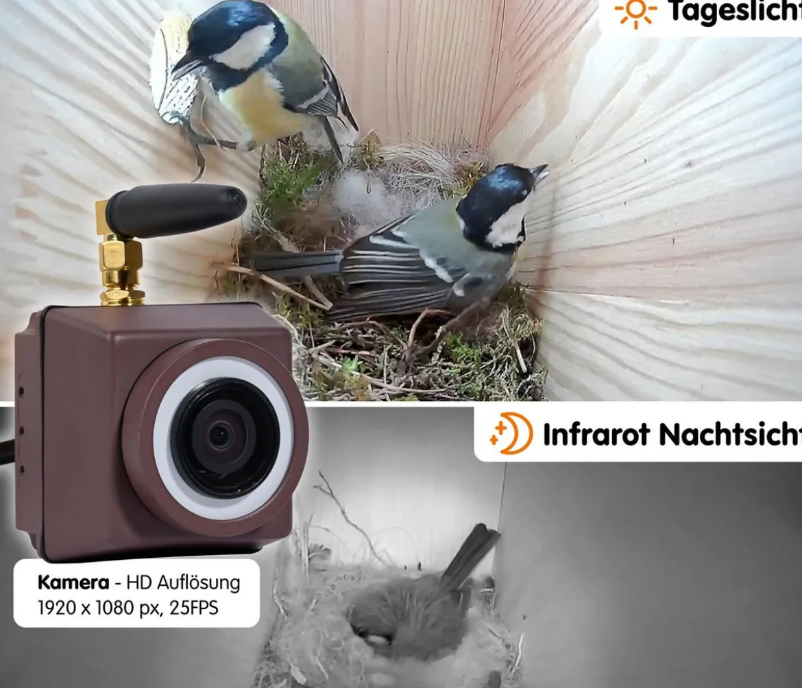 dobar® wildlife Nistkasten Brunhilde, inkl. Kamera, ca. B22,5/H38,5/T35,5 cm