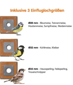dobar® wildlife Nistkasten Brunhilde, inkl. Kamera, ca. B22,5/H38,5/T35,5 cm