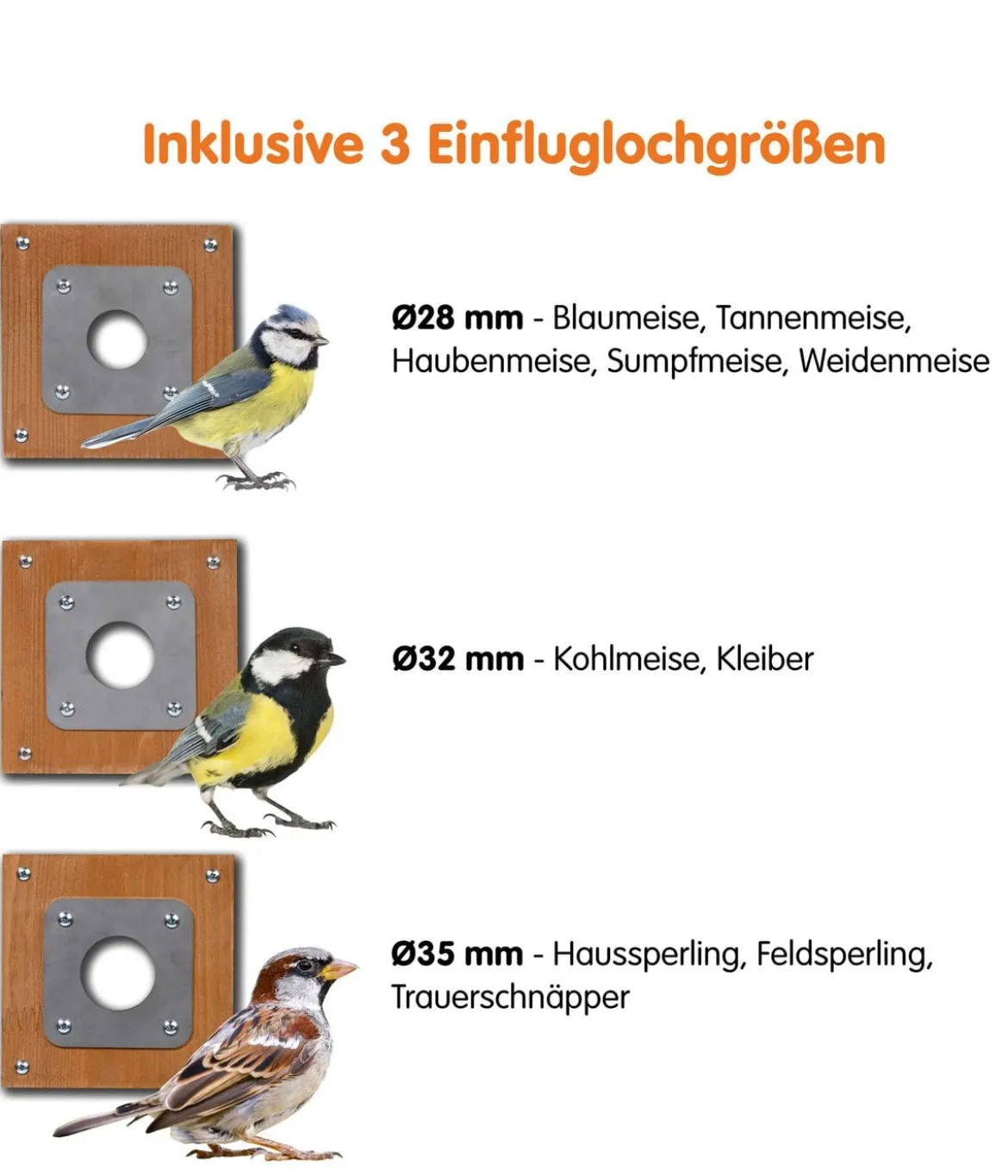 dobar® wildlife Nistkasten Brunhilde, inkl. Kamera, ca. B22,5/H38,5/T35,5 cm