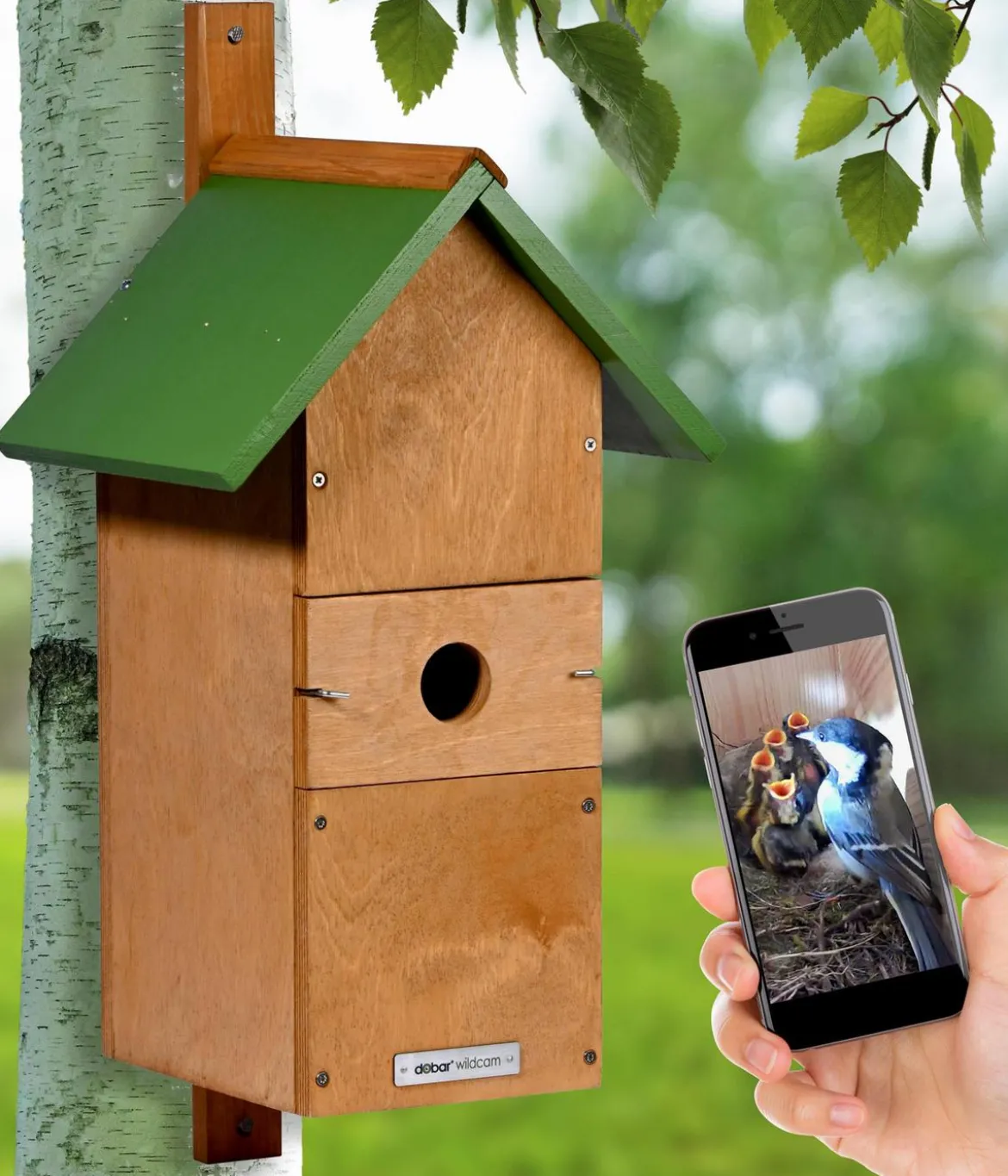 dobar® wildlife Nistkasten Karsten, inkl. Kamera, ca. B22,5/H53/T25,5 cm