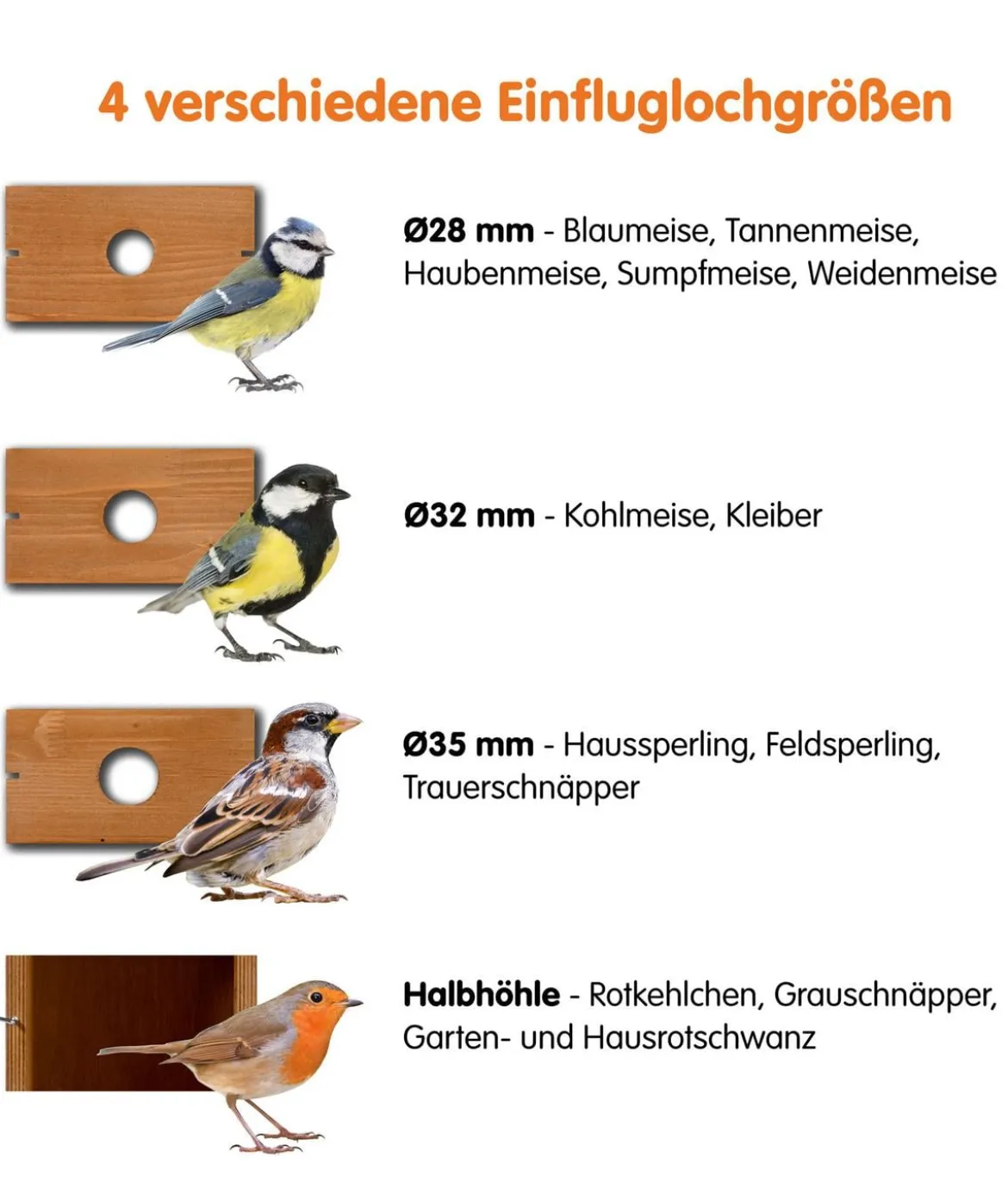 dobar® wildlife Nistkasten Karsten, inkl. Kamera, ca. B22,5/H53/T25,5 cm