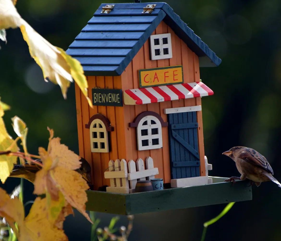 dobar® wildlife Vogelhaus Café, Kiefer, orange/blau, ca. B18/H23/T18 cm