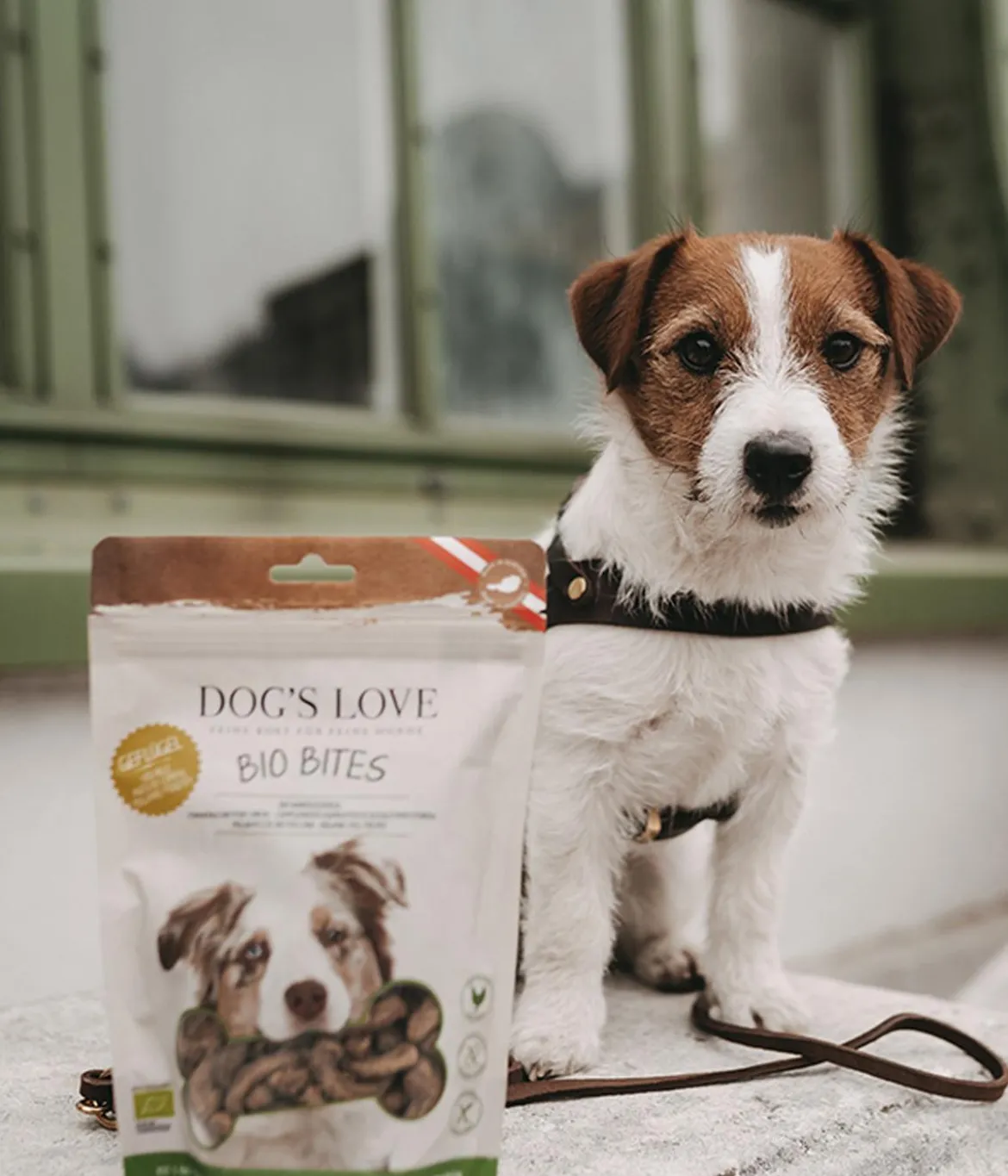 DOG'S LOVE Hundesnack Bio Bites, 150 g
