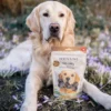 DOG'S LOVE Hundesnack Bio Chips, 150 g