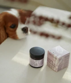 DOG'S LOVE Pfotenpflege Natural Balm, 50 ml