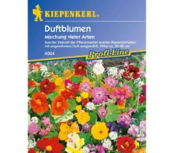 Duftblumen Mix, Saatgut von Kiepenkerl