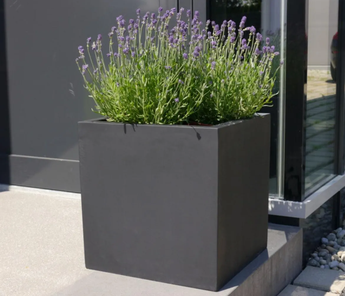 Eastwest Fiberglas-Pflanzkübel, quadratisch