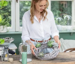 Echeverien-Set - Echeveria, 5-teilig, verschiedene Sorten