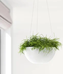 Ecopots Kunststoff-Ampel Brussels mit Wassersystem, rund