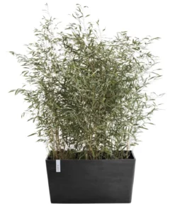 Ecopots Kunststoff-Kasten Paris, rechteckig