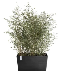 Ecopots Kunststoff-Kasten Paris, rechteckig