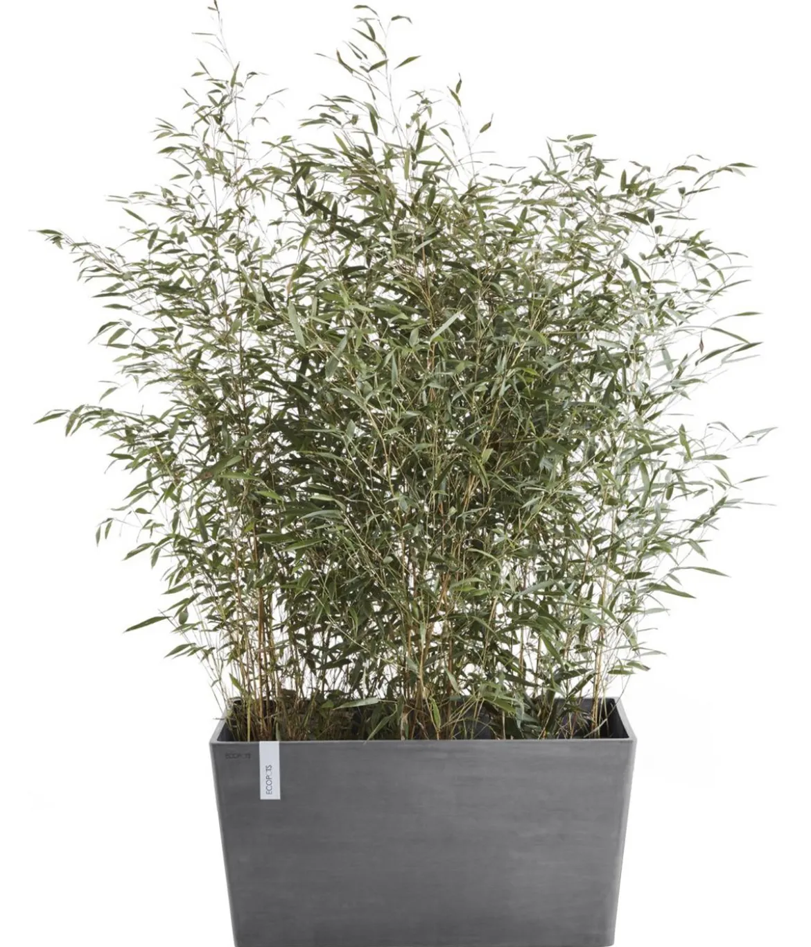 Ecopots Kunststoff-Kasten Paris, rechteckig