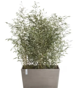 Ecopots Kunststoff-Kasten Paris, rechteckig