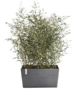 Ecopots Kunststoff-Kasten Paris, rechteckig