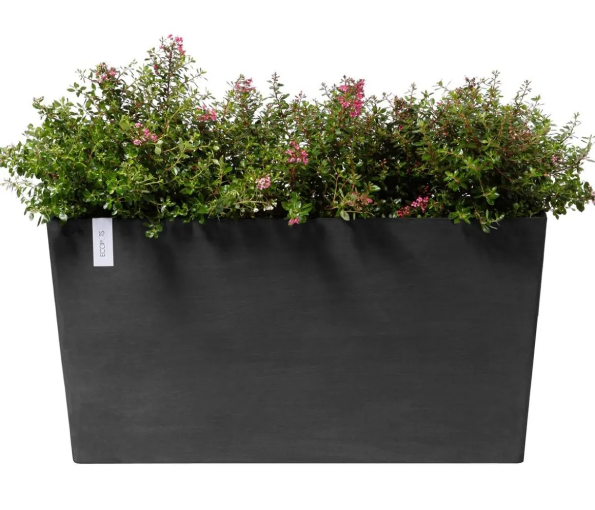 Ecopots Kunststoff-Kasten Paris mit Rollen, rechteckig