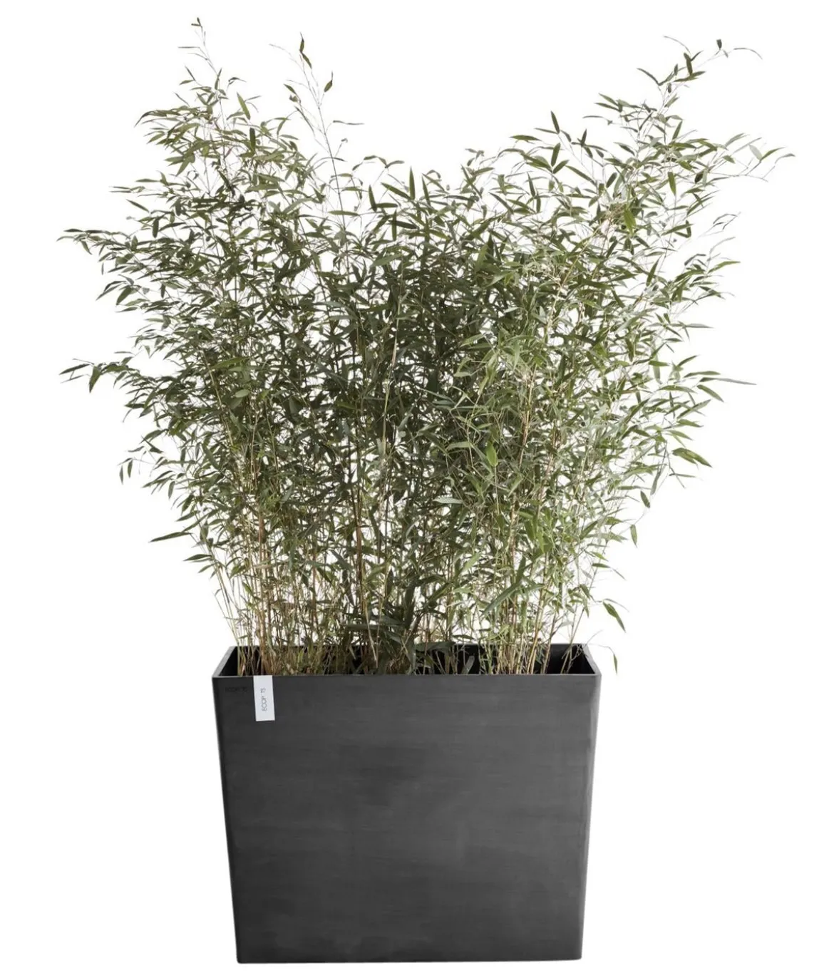 Ecopots Kunststoff-Kasten Paris mit Rollen, rechteckig