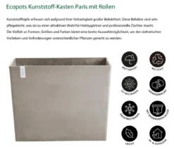 Ecopots Kunststoff-Kasten Paris mit Rollen, rechteckig