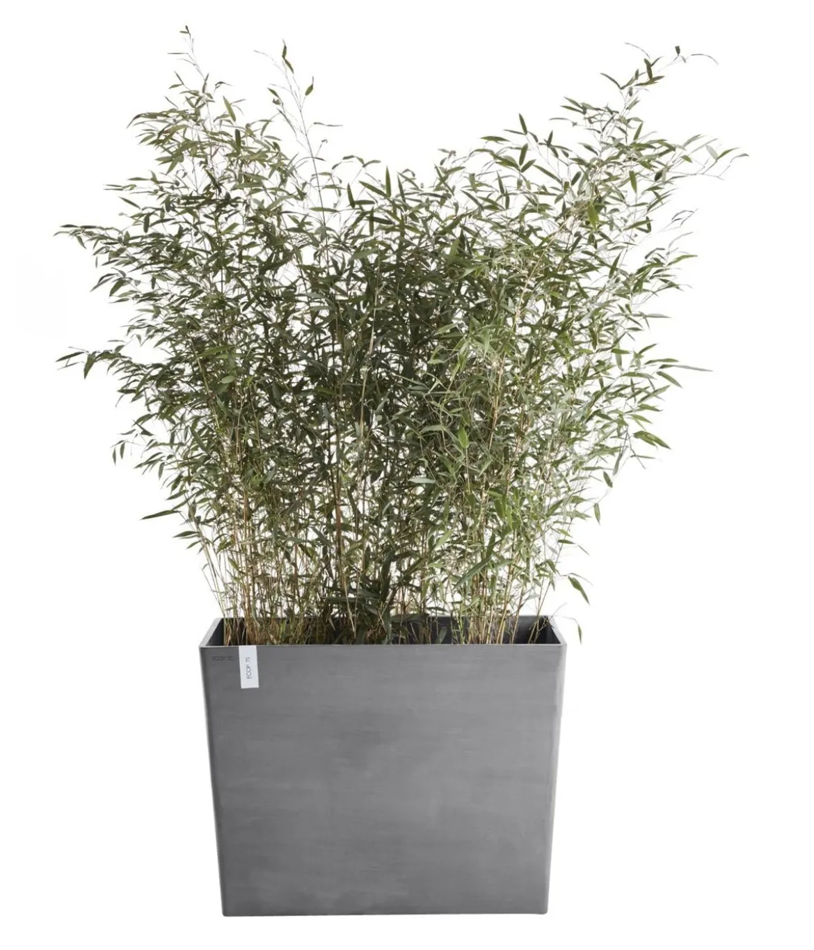 Ecopots Kunststoff-Kasten Paris mit Rollen, rechteckig