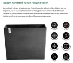 Ecopots Kunststoff-Kasten Paris mit Rollen, rechteckig