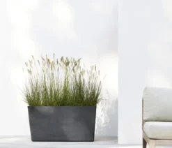 Ecopots Kunststoff-Kasten Paris mit Rollen, rechteckig