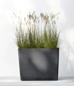 Ecopots Kunststoff-Kasten Paris mit Rollen, rechteckig