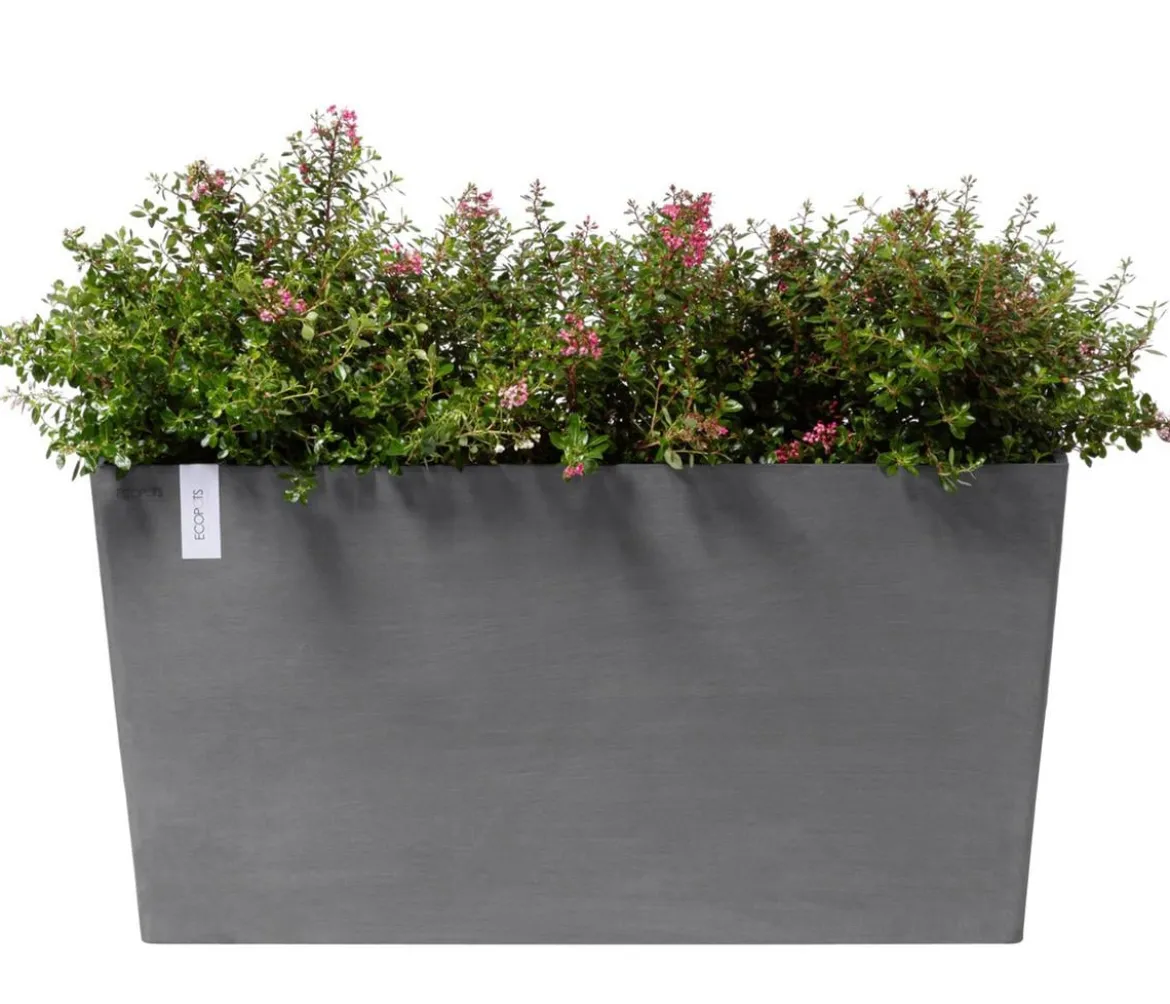 Ecopots Kunststoff-Kasten Paris mit Rollen, rechteckig