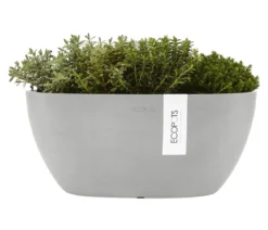 Ecopots Kunststoff-Schale Sofia mit Wassersystem, oval