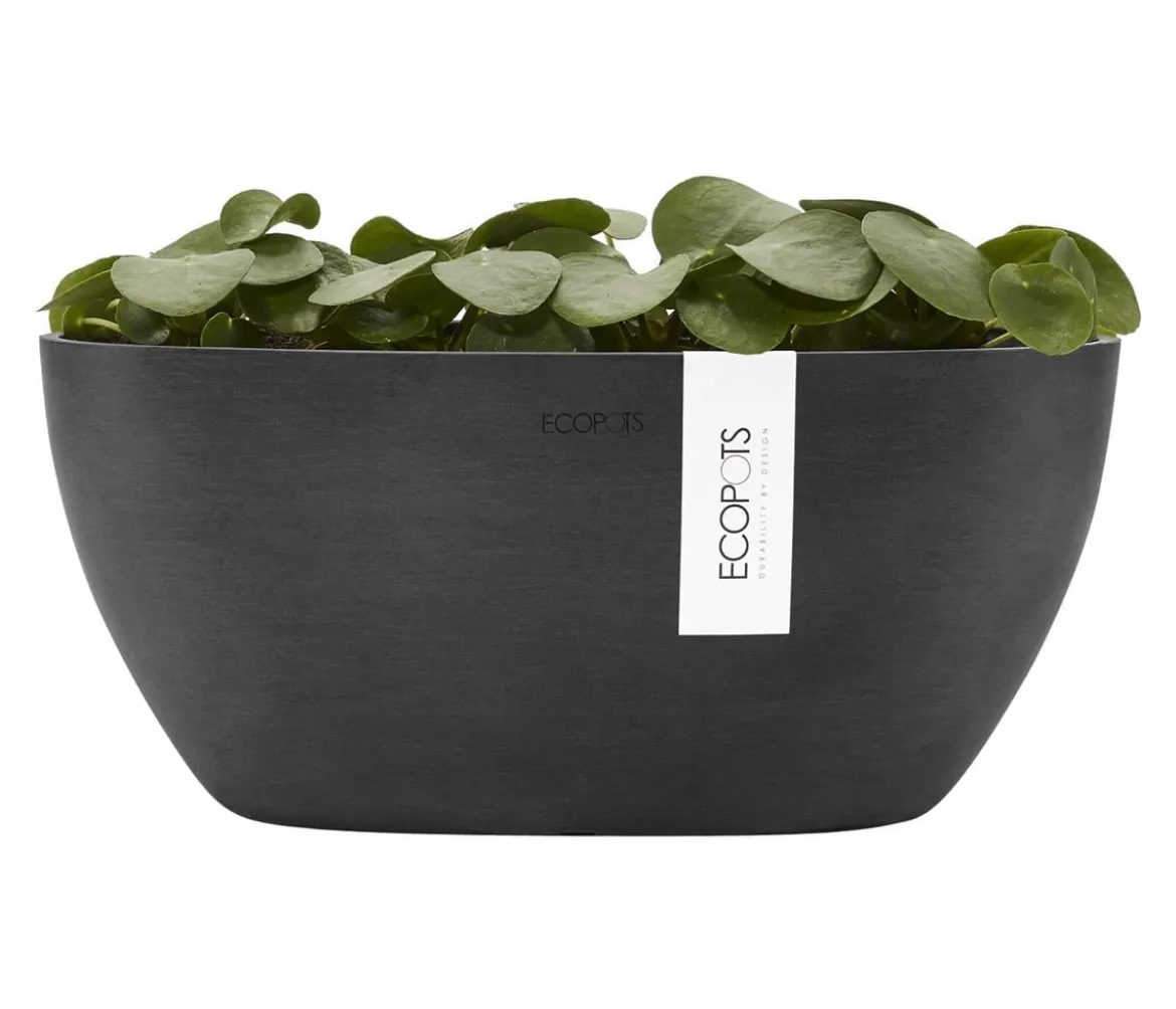 Ecopots Kunststoff-Schale Sofia mit Wassersystem, oval