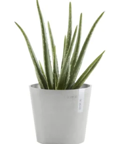 Ecopots Kunststoff-Topf Amsterdam Mini, rund, ca. Ø17/H14,7 cm