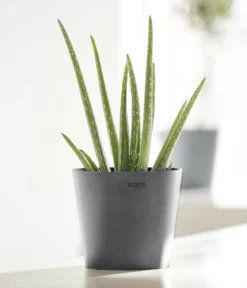 Ecopots Kunststoff-Topf Amsterdam Mini, rund, ca. Ø17/H14,7 cm