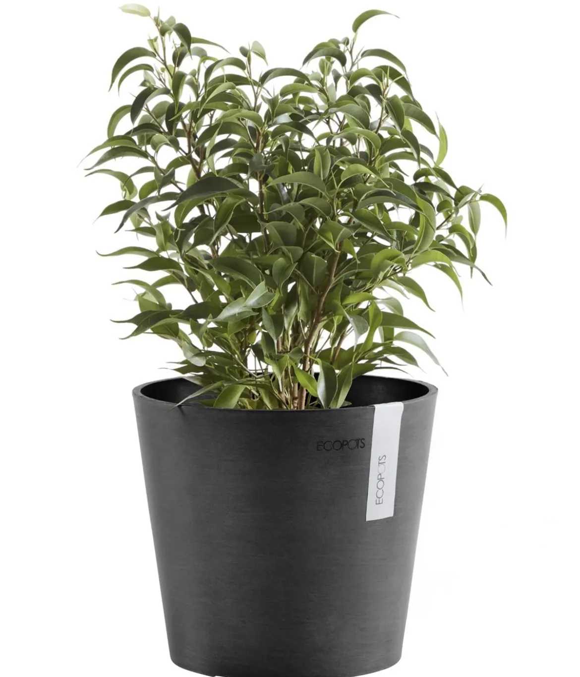 Ecopots Kunststoff-Topf Amsterdam Mini, rund, ca. Ø17/H14,7 cm
