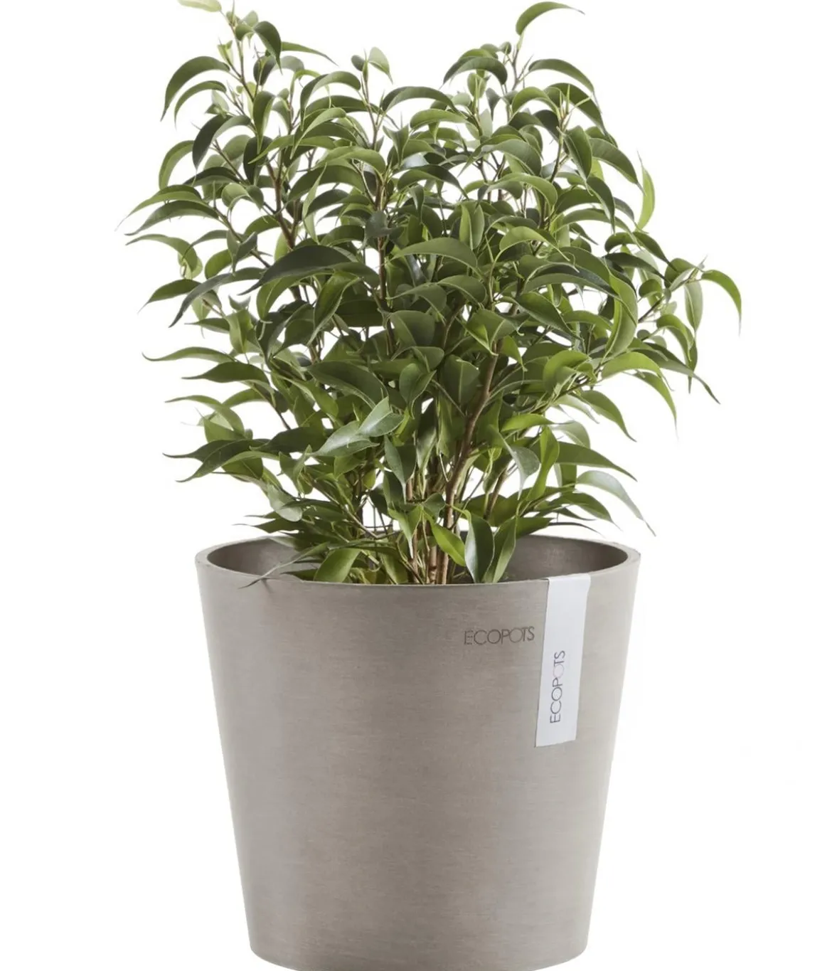 Ecopots Kunststoff-Topf Amsterdam Mini, rund, ca. Ø17/H14,7 cm