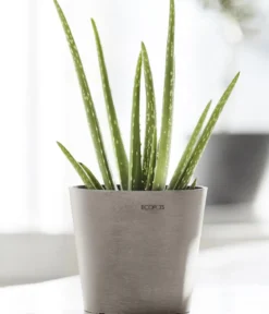 Ecopots Kunststoff-Topf Amsterdam Mini, rund, ca. Ø17/H14,7 cm
