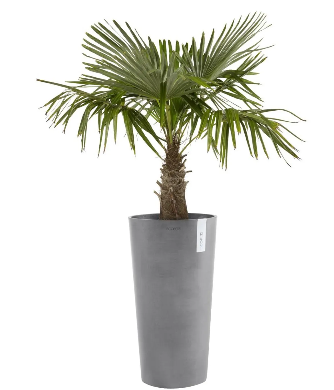 Ecopots Kunststoff-Topf Amsterdam hoch, rund